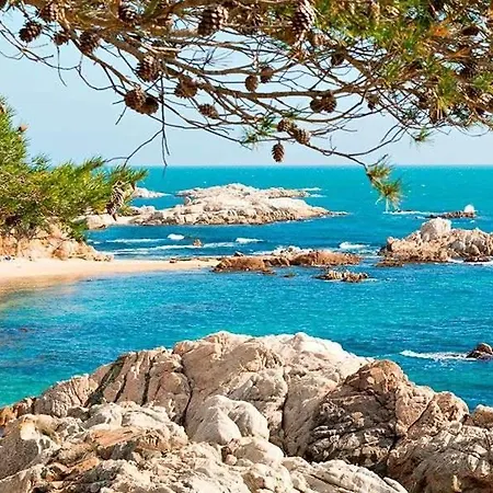 Estada De Playa * 레스타르티트